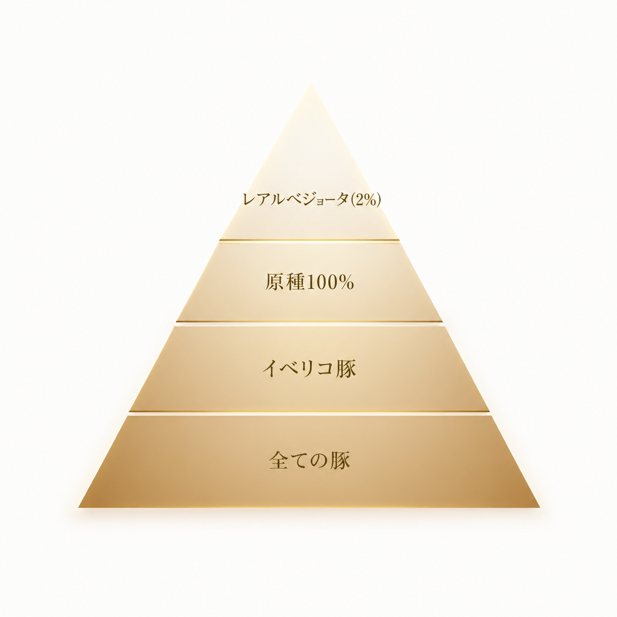 イベリコ豚全体からわずか2%しか採れない最上級ランク レアルベジョータの最高品質どんぐり
