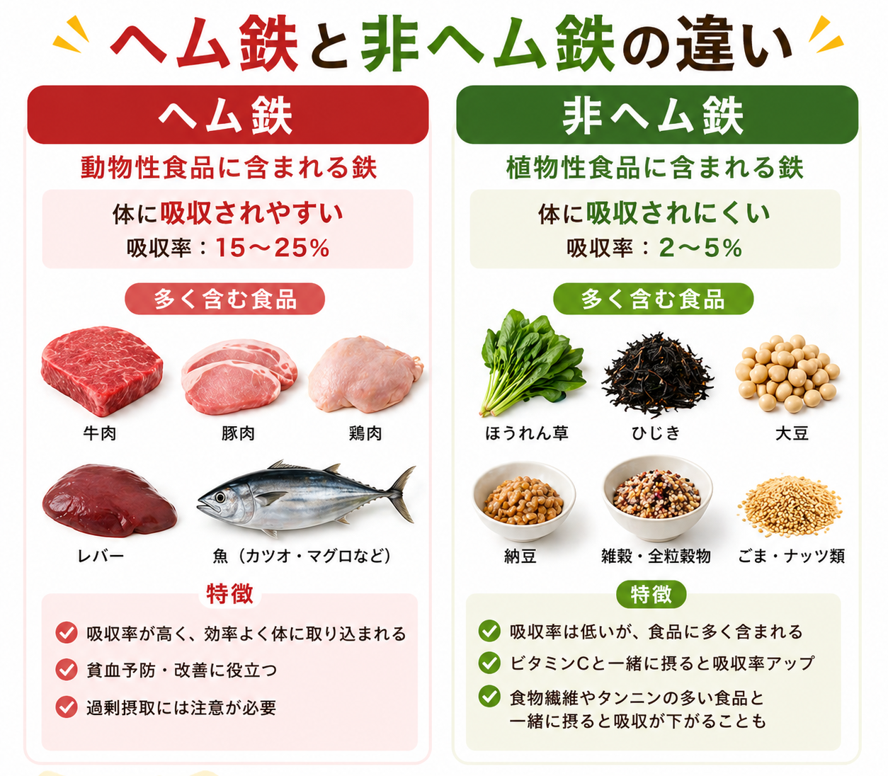 植物性食品の非ヘム鉄と、動物性食品（肉・魚・レバー）のヘム鉄における吸収率の違いを示す比較図解